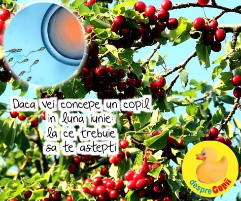 Daca vei concepe un copil in luna iunie: la ce trebuie sa te astepti