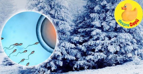 Daca vei concepe un copil in luna ianuarie: la ce trebuie sa te astepti