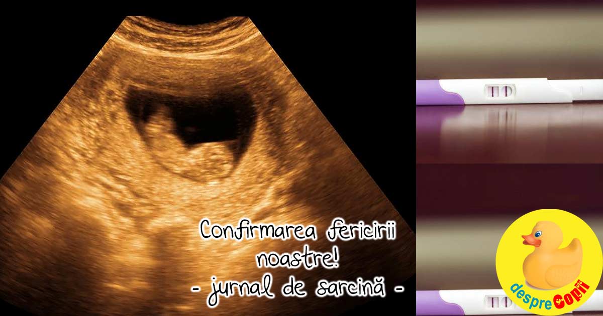 Confirmarea fericirii noastre - jurnal de sarcina