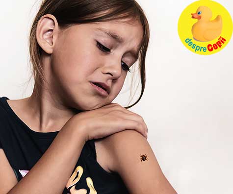 Cum ferim copiii de capuse - atentie aceste insecte pot provoca boli grave