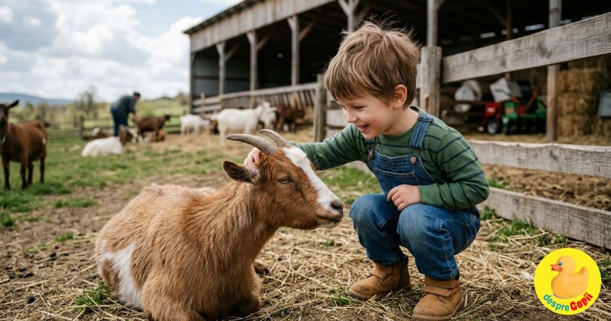 Un copil de 4 ani a ajuns la spital după o vizita la o ferma cu animale. Ce este infectia cu Cryptosporidium si cum ne protejam copiii