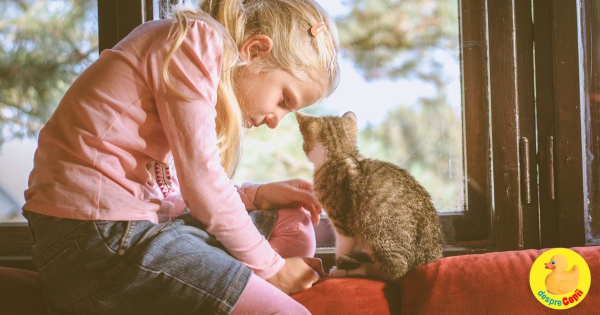 Cand copilul vrea o pisica (si tu nu vrei) - asa a ajuns pisoiul Bobi la noi