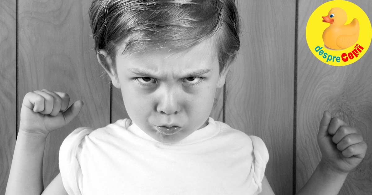 Copilul agresiv: cauze, prevenire si reactii - sfatul psihologului