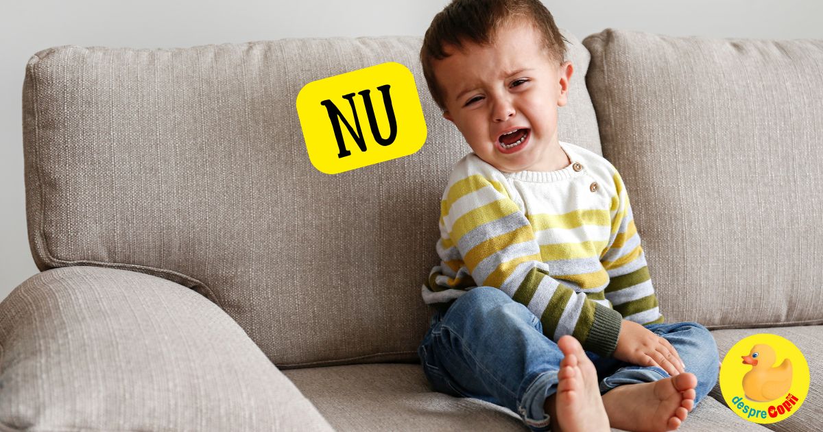 Cand copilul spune NU la orice sau ce afli cand copilul descopera independenta - 10 sfaturi pentru a gestiona corect aceasta etapa