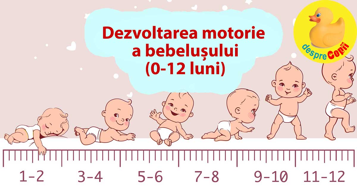 Dezvoltarea motorie a bebelusului -  de la nastere pana la momentul suprem cand merge singur - infografic