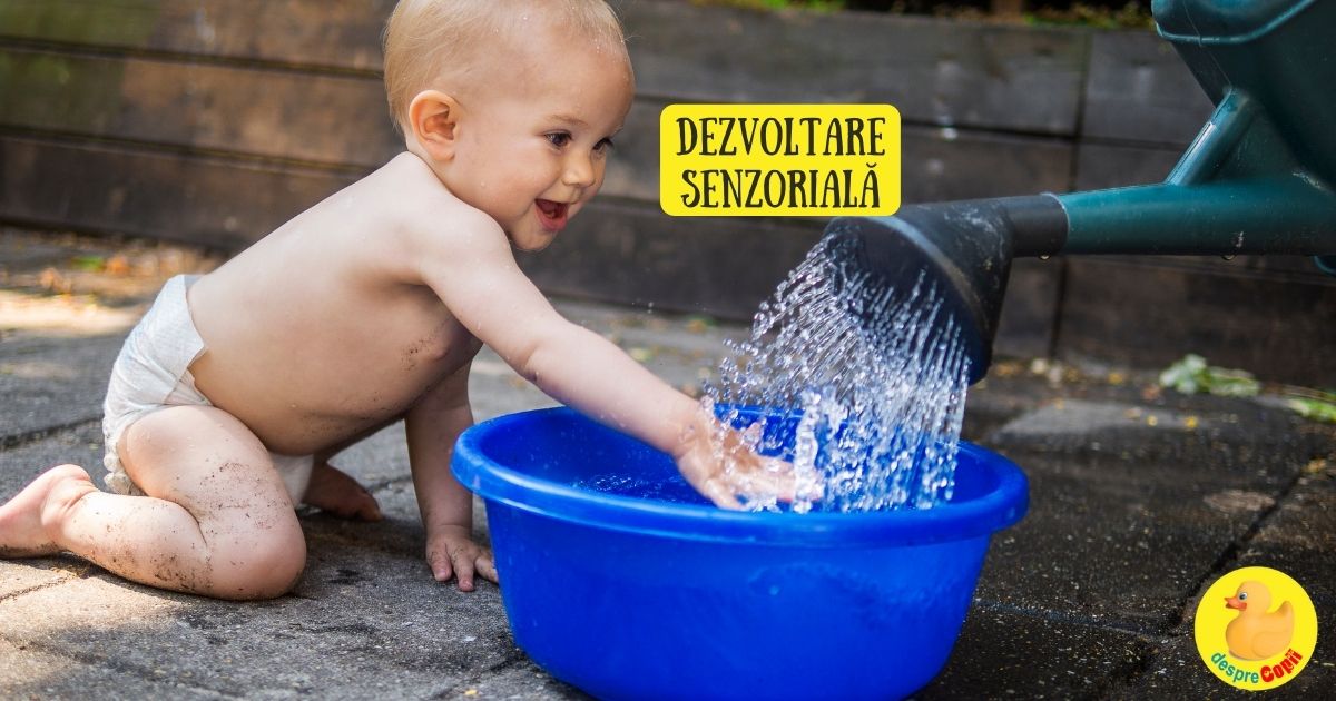 Dezvoltarea senzoriala a bebelusului - rolul in dezvoltarea cognitiva si capacitatii de a invata. Activitati pe luni de la 1 la 12 luni.