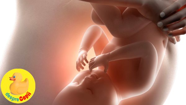 In burtica mamei: dezvoltarea vederii bebelusului