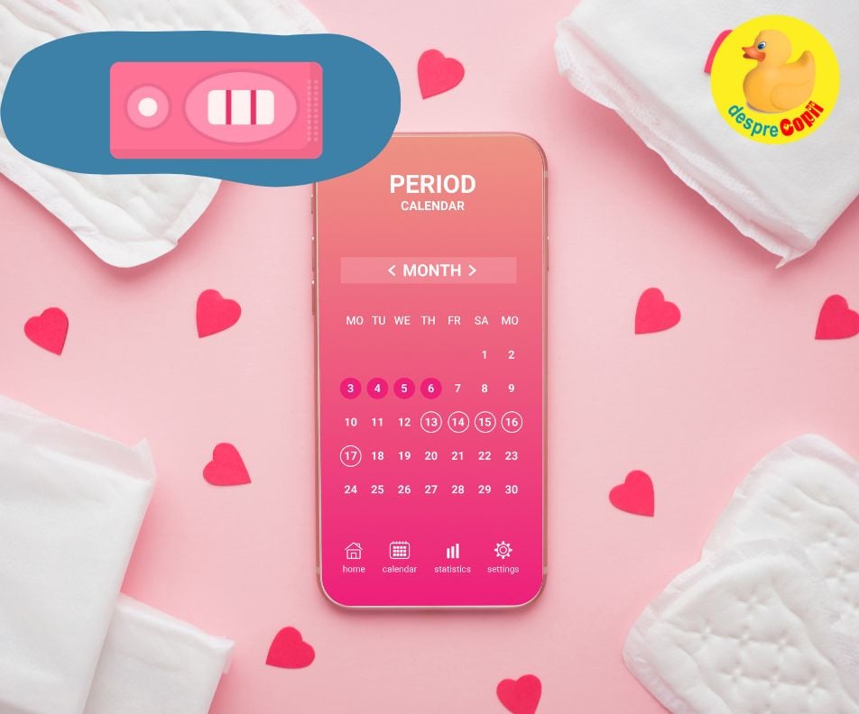 Diagrama ciclului menstrual te poate ajuta sa ramai insarcinata mai repede - iata cum