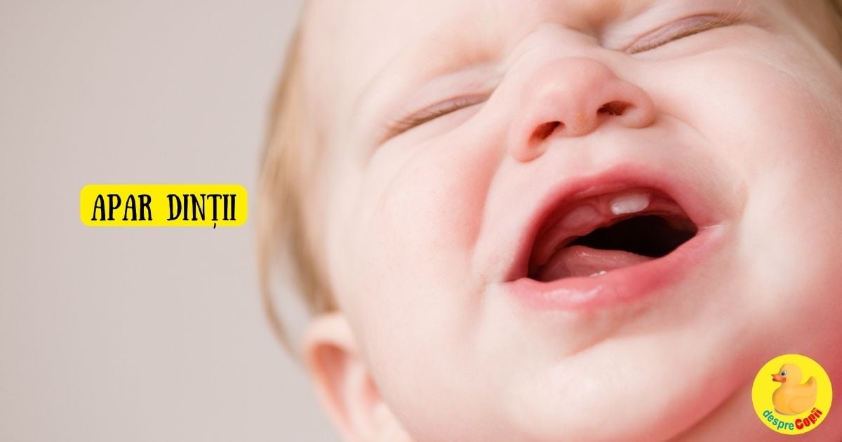 Dintii de lapte ai bebelusului: cand apar, simptome si ce e de facut - infografic