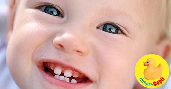 Dintii De Lapte Ai Bebelusului Cand Apar Simptome Si Ce E De