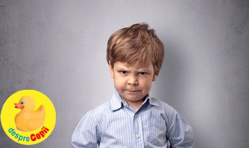 Cand copilul ignora regulile de disciplina: de ce o face si cum reactionam