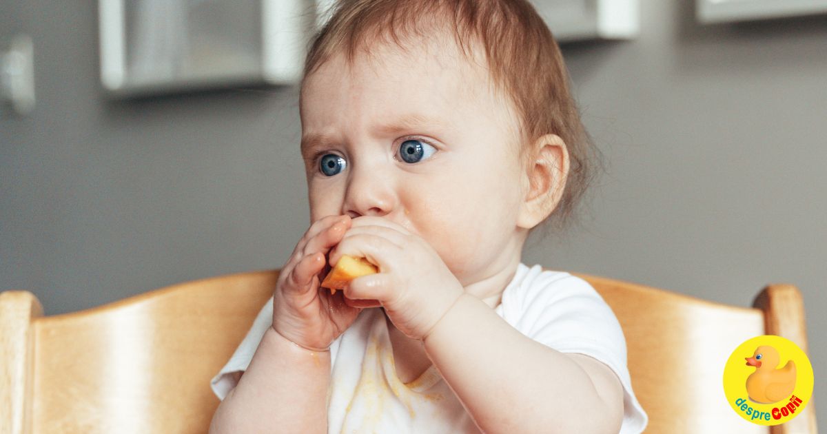 Cum incepem introducerea solidelor la bebe – cu piureuri sau cu bucatele? Concluzie si 5 sfaturi de la medicul pediatru
