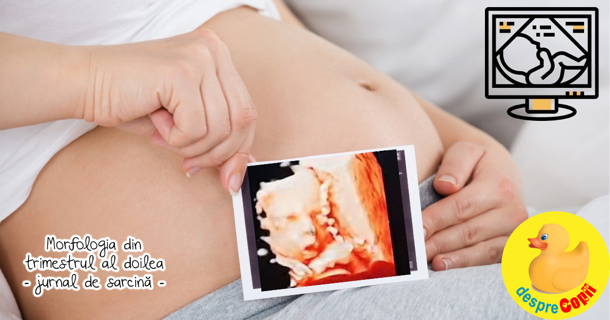 Morfologia de trimestrul 2 si miscarile lui bebe - jurnal de sarcina