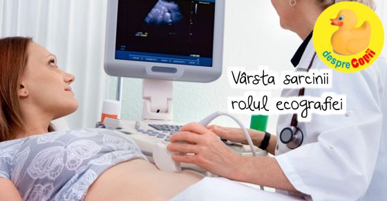 Varsta sarcinii si rolul ecografiei