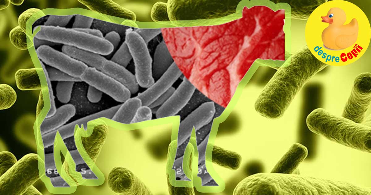 Infectia cu E.coli: simptome, contaminare si prevenire - pericolul din unele alimente
