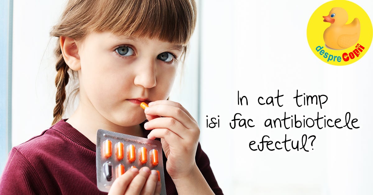 In cat timp isi fac antibioticele efectul?