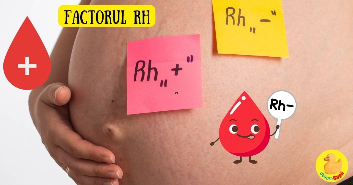 Factorul Rh in sarcina -  riscuri si preventie - sfatul medicului