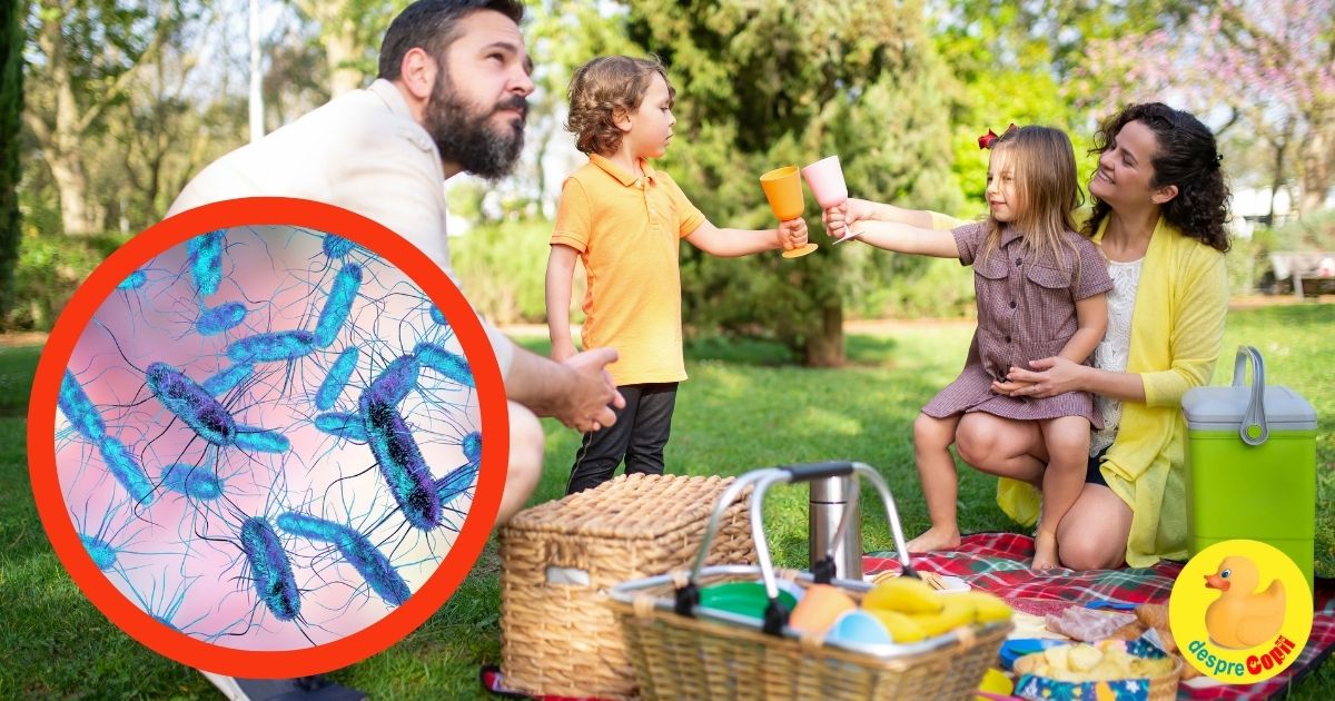 Sezonul gratarelor, picnicurilor si a salmonellei. Iata care sunt simptomele infectiei si cum ne protejam familia.