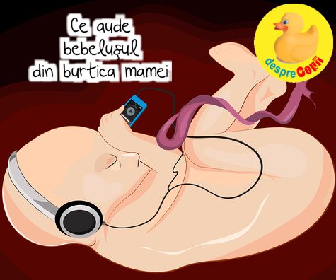 Ce aude bebelusul din burtica mamei