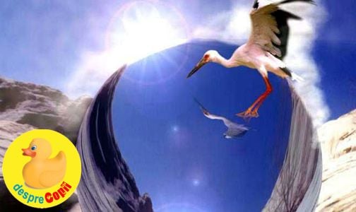 Fertilitatea si influenta Feng Shui asupra sa