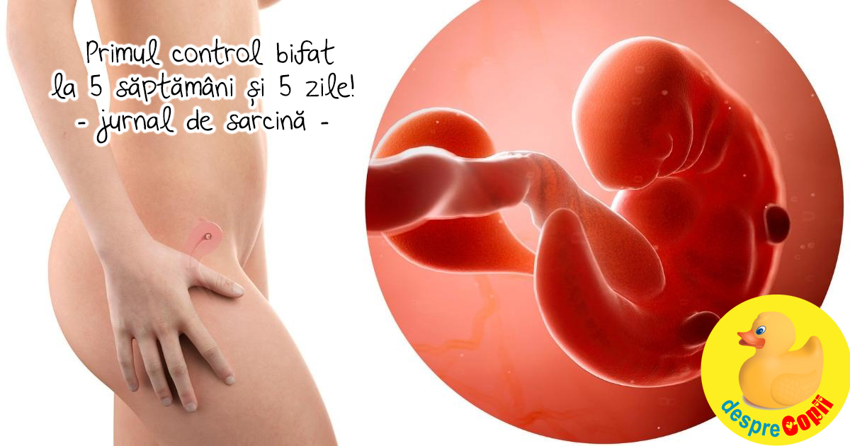 Primul control bifat la 5 saptamani si 5 zile: bebe era cat o bobita de mustar - jurnal de sarcina