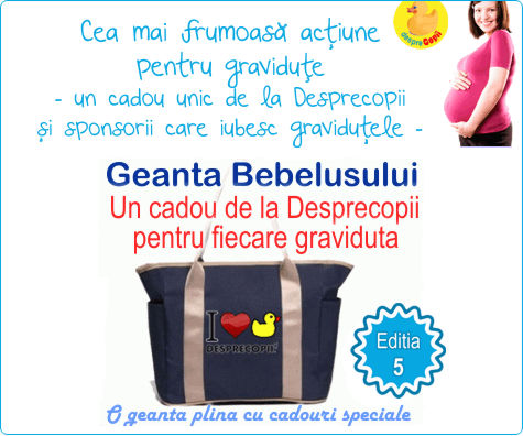 Geanta Bebelusului, cadou pentru gravidute