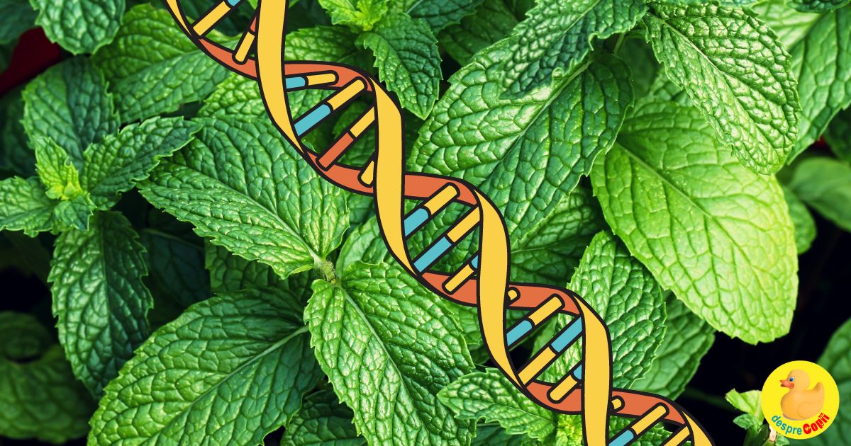 Ce fel de gene vegetale ai putea avea -  incursiune fascinanta in natura si genetica