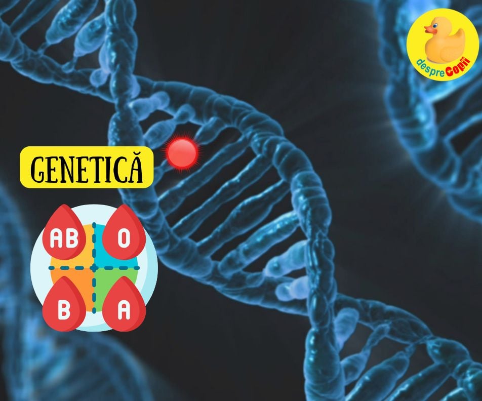 Ce sange purtam, al mamei sau al tatalui? Sa intelegem din tainele geneticii