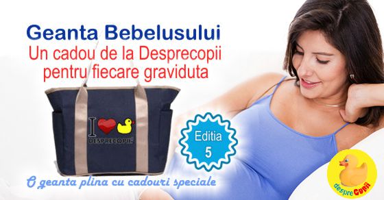 Geanta Bebelusului, cadou pentru gravidute