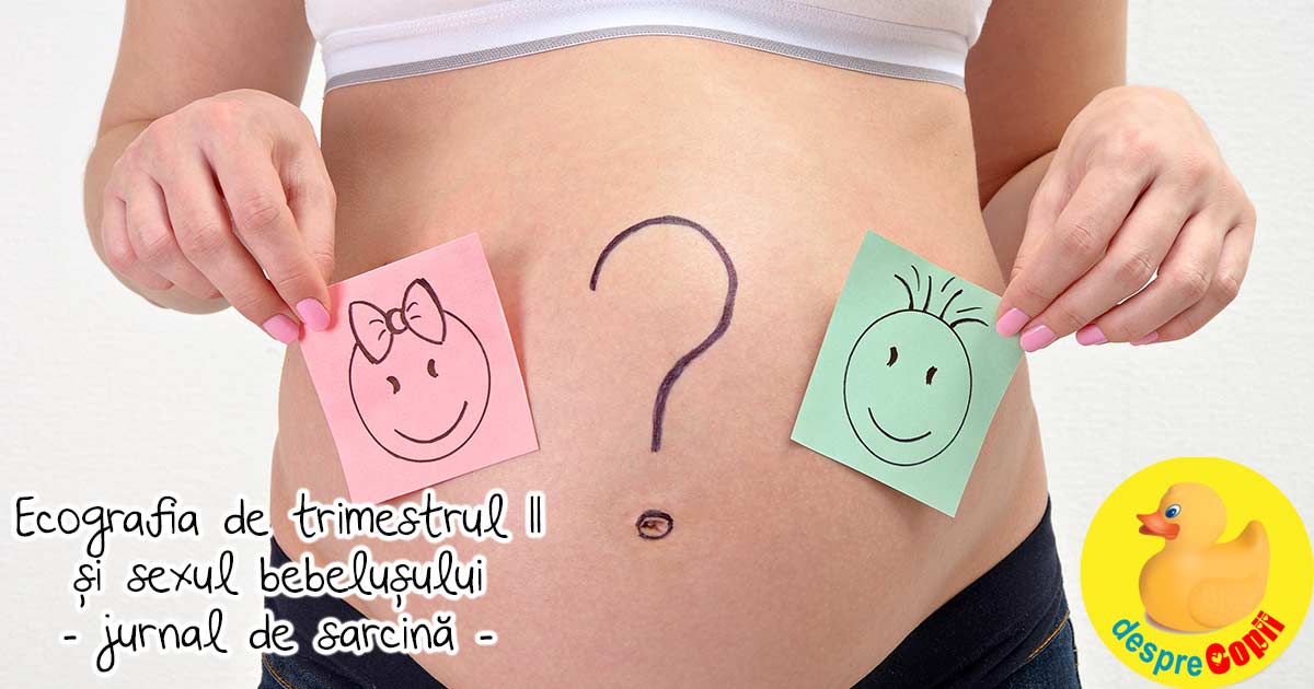 Ecografia de trimestrul II si sexul bebelusului in saptamana 22 - jurnal de sarcina