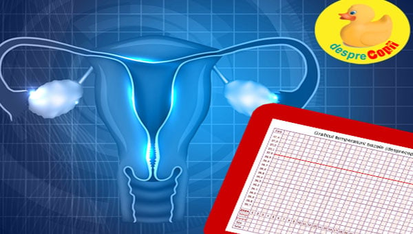 Diagrama ciclului menstrual te poate ajuta sa ramai insarcinata mai repede - iata cum