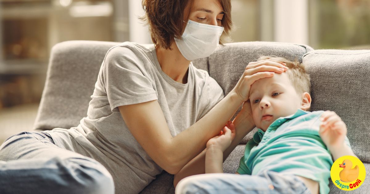 Gripa porcina -  simptome, protectie si tratament