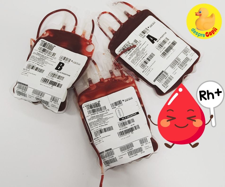 Grupele sanguine si Rh-ul