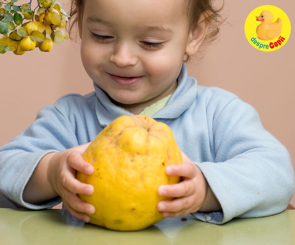 Gutuia in alimentatia bebelusilor: beneficii, proprietati si moduri de preparare
