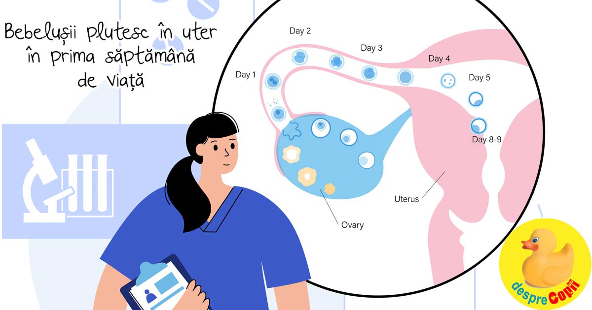 Dezvoltarea sarcinii: bebelusii plutesc in uter inca din prima saptamana de viata