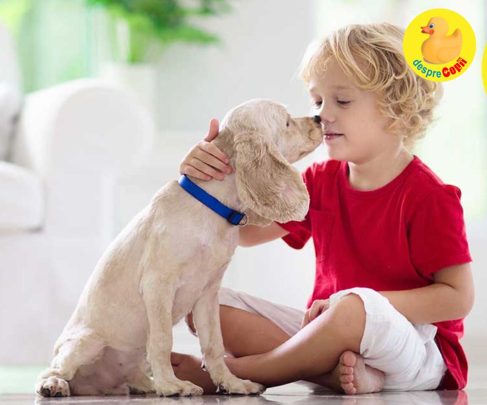 Animalele de companie pot transmite infectii si paraziti - iata cum ne putem proteja si ce trebuie sa stie parintii 