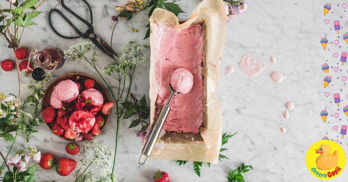 Cele mai bune retete de inghetata de casa. 15 retere speciale si delicioase