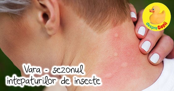 Vara – sezonul intepaturilor de insecte