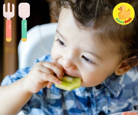 Kiwi in alimentatia bebelusilor – Beneficii si retete rapide