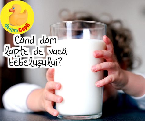 Cand dam lapte de vaca bebelusului?