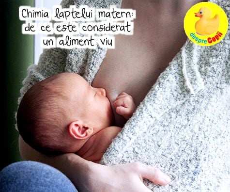Chimia laptelui matern: de ce este considerat un aliment viu