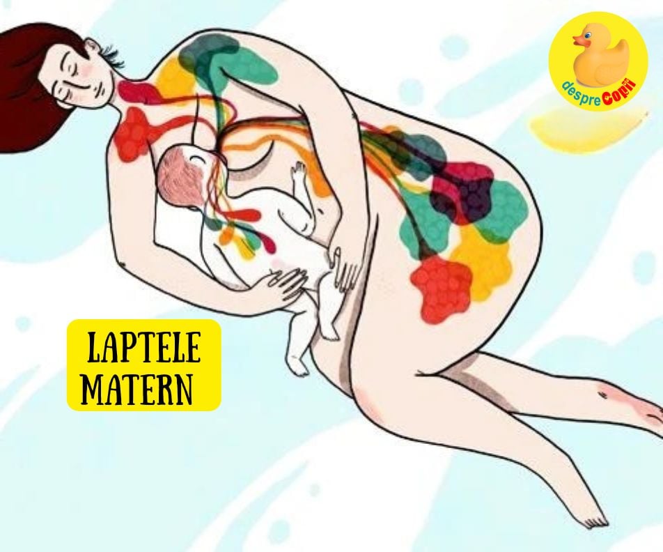 Ce contine laptele matern si ce calitati are. Laptele matern este imposibil de replicat - infograficul compozitiei