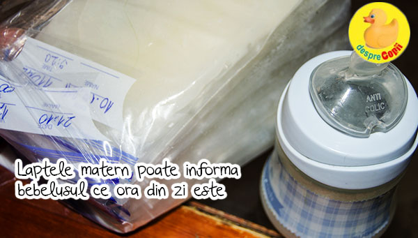 Laptele matern poate informa bebelusul ce ora din zi este