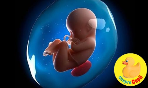 Lichidul amniotic: de ce este important nivelul sau in timpul sarcinii