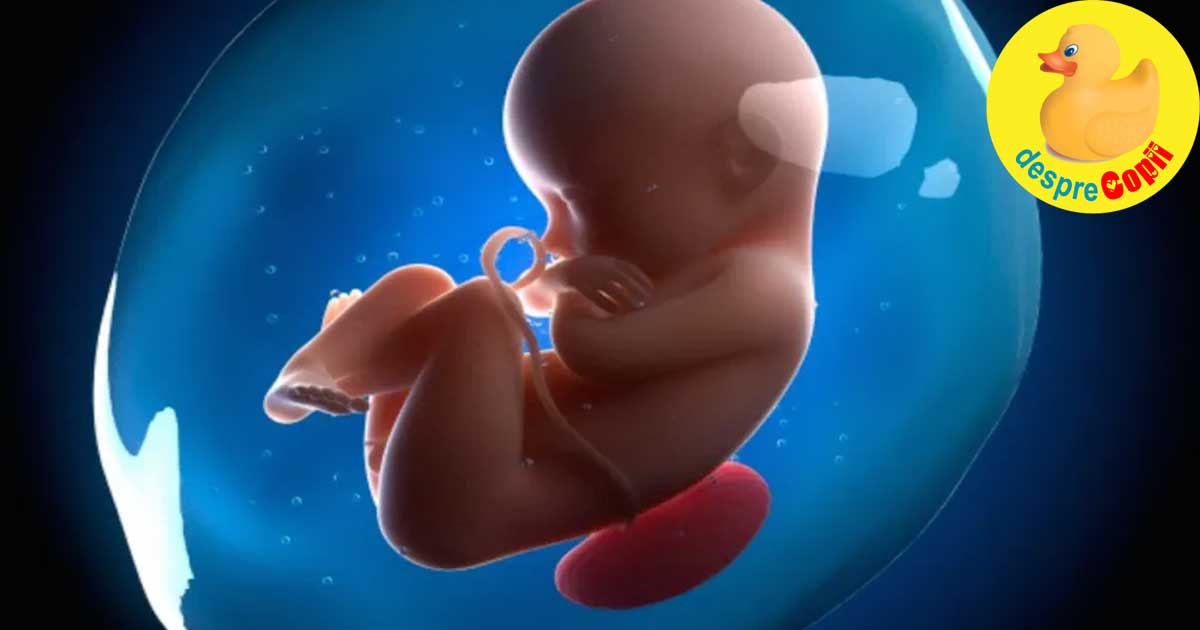 Lichidul amniotic: de ce este important nivelul sau in timpul sarcinii