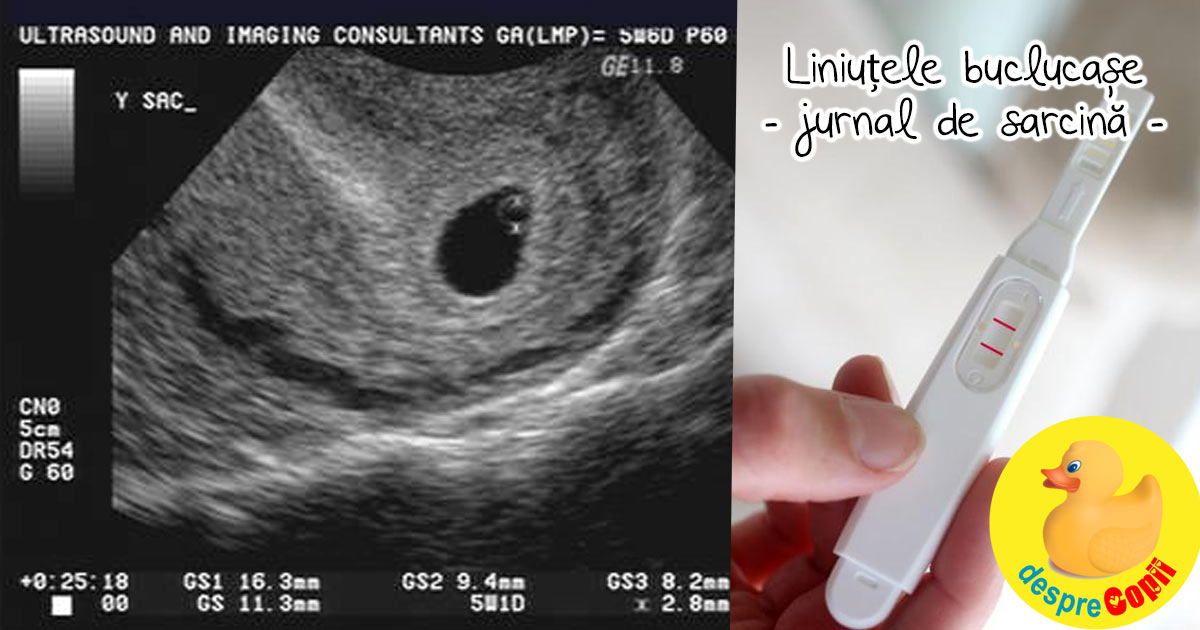 Liniutele buclucase cu care am ajuns in al noulea cer - jurnal de sarcina