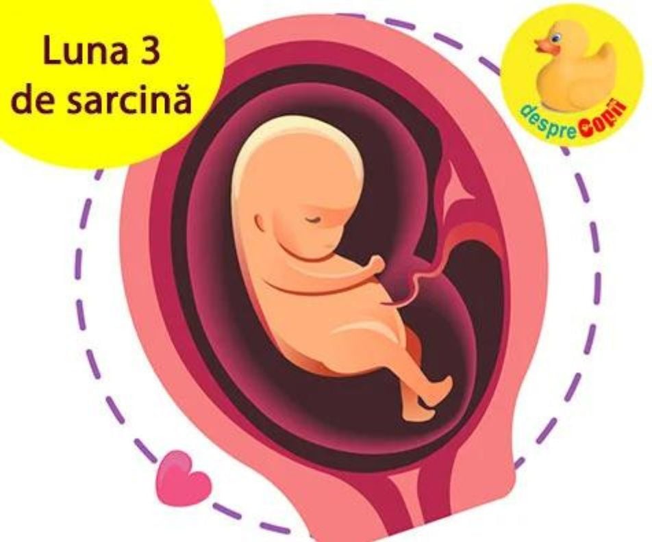 Luna 3 de sarcina - intre oboseala, crestere in greutate si mai putine riscuri de a pierde sarcina (video)