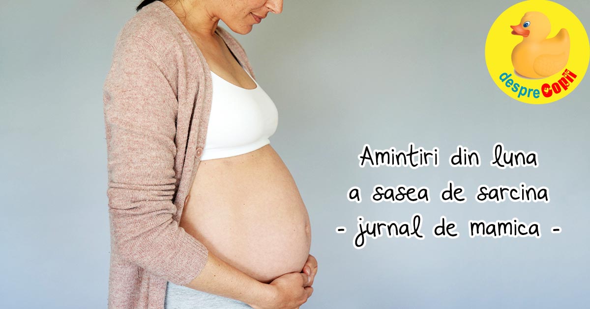 Amintiri din luna a sasea de sarcina - jurnal de sarcina