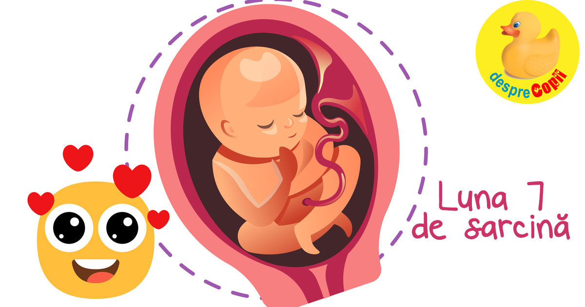 Luna 7 de sarcina: burtica creste mult si incep sa apara vergeturile iar bebelusul poate asculta muzica