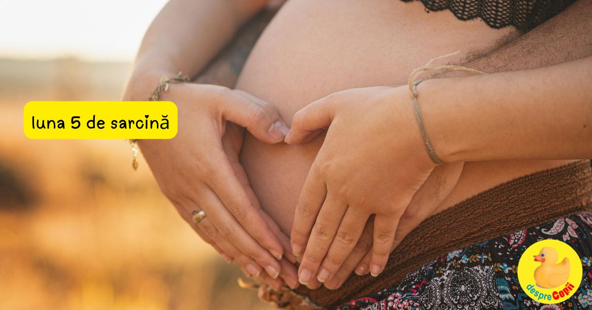 Luna a 5-a de sarcina - de acum inainte incepi sa-l simți pe bebe cu adevarat dar trebuie sa cunosti si aceste mituri